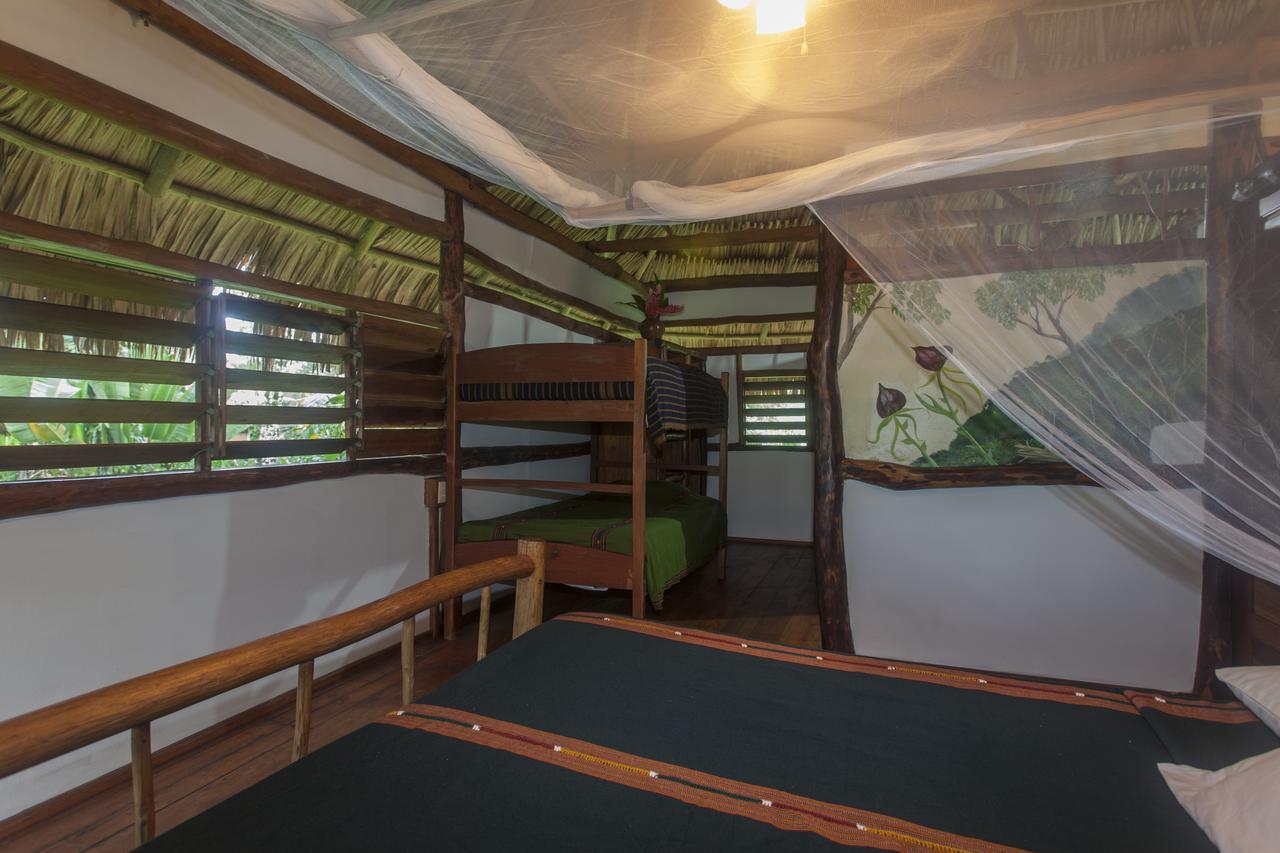 Cotton Tree Lodge San Felipe  Ngoại thất bức ảnh