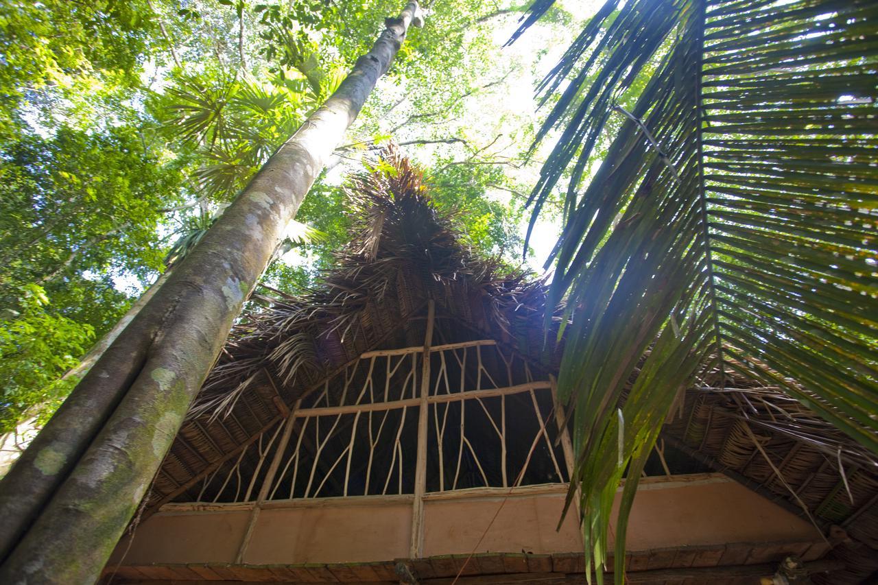 Cotton Tree Lodge San Felipe  Ngoại thất bức ảnh