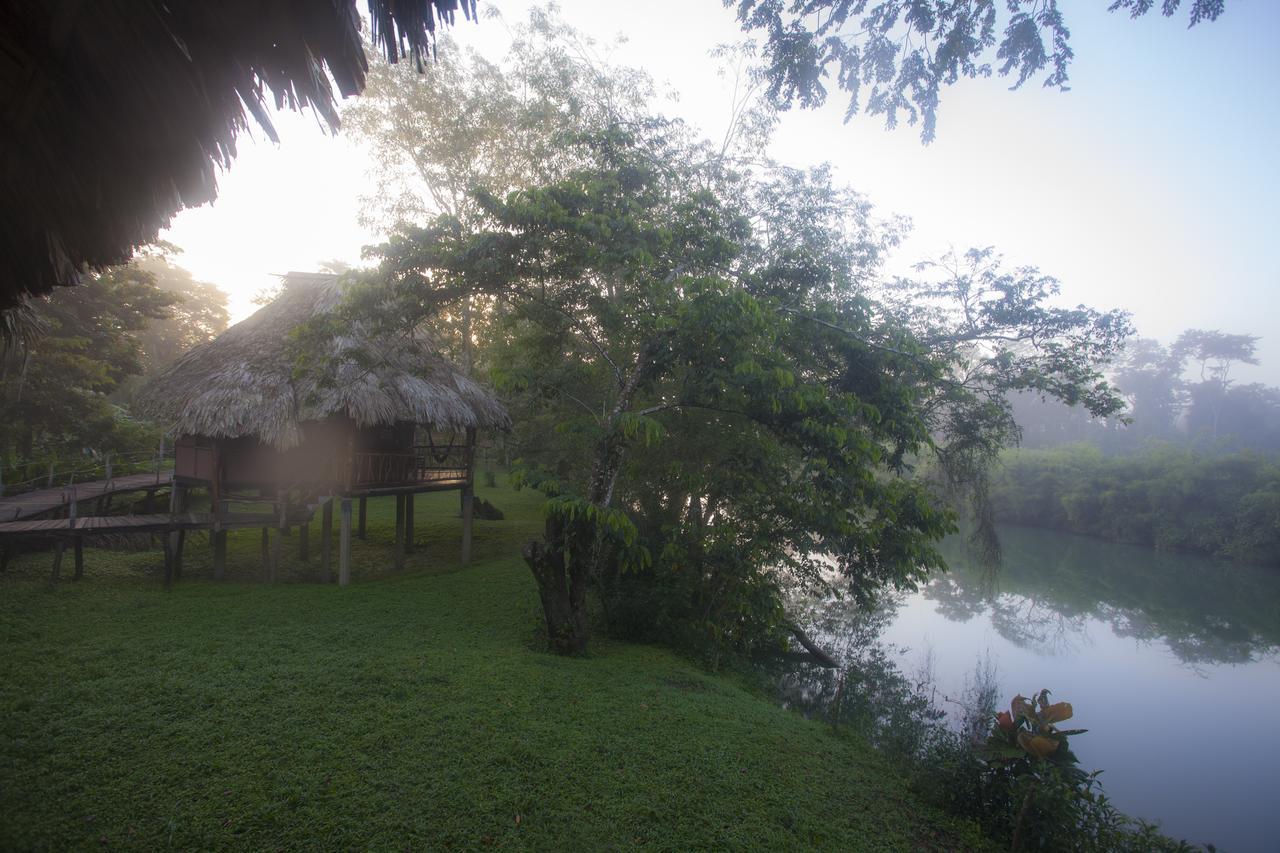 Cotton Tree Lodge San Felipe  Ngoại thất bức ảnh