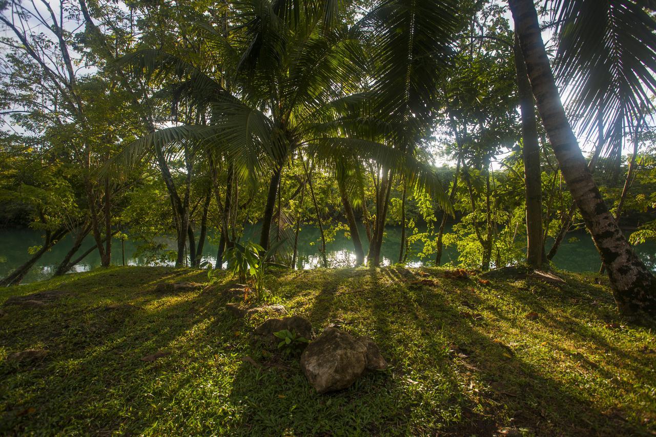 Cotton Tree Lodge San Felipe  Ngoại thất bức ảnh
