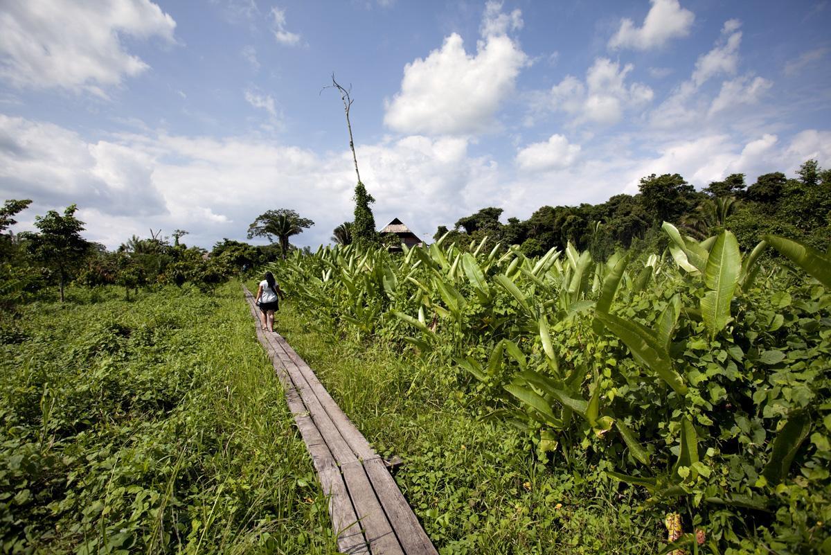 Cotton Tree Lodge San Felipe  Ngoại thất bức ảnh
