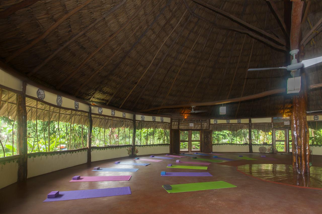 Cotton Tree Lodge San Felipe  Ngoại thất bức ảnh