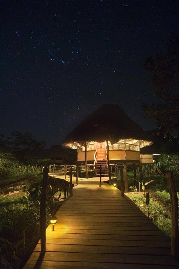 Cotton Tree Lodge San Felipe  Phòng bức ảnh